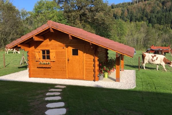 Abri de jardin - photo 3