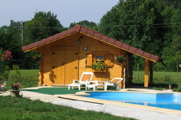 Roitelet en bord de piscine